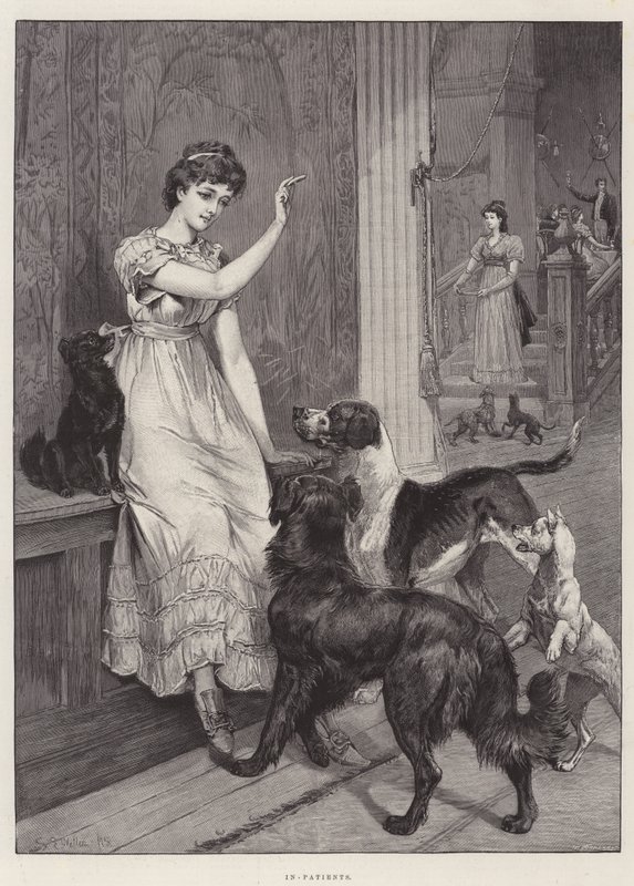 Innlagte pasienter av Samuel Edmund Waller