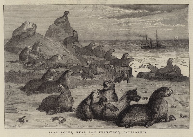 Seal Rocks, nær San Francisco, California av Samuel Edmund Waller