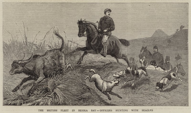 Den britiske flåten i Besika Bay, offiserer på jakt med beagler av Samuel Edmund Waller