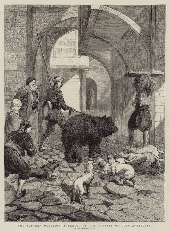Det østlige spørsmålet, en skisse i gatene i Konstantinopel av Samuel Edmund Waller