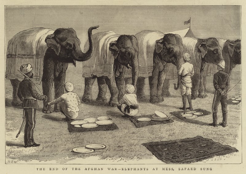 Slutten på den afghanske krigen, Elephants at Mess, Safaed Sung av Samuel Edmund Waller