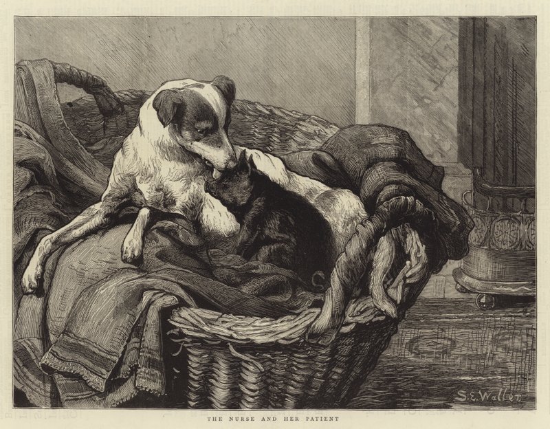 Sykepleieren og hennes pasient av Samuel Edmund Waller