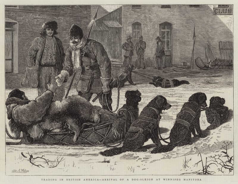 Handel i Britisk Amerika, ankomst av en hundeslede til Winnipeg Manitoba av Samuel Edmund Waller