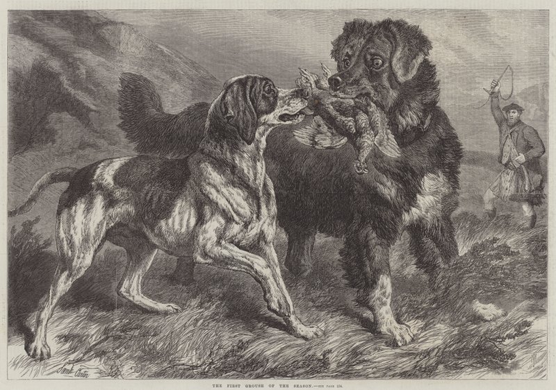 Sesongens første rype av Samuel John Carter