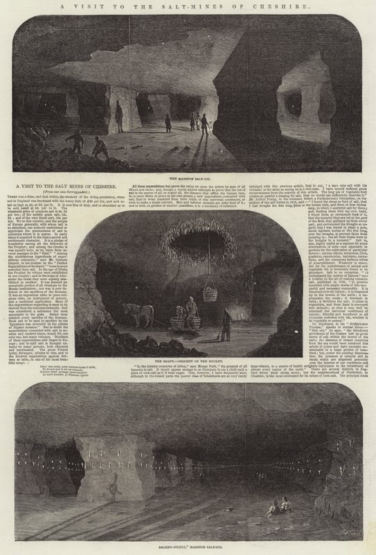 Et besøk til saltgruvene i Cheshire av Samuel Read