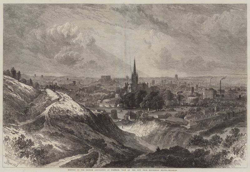 Møte i British Association i Norwich, View of the City fra Mousehold Heath av Samuel Read