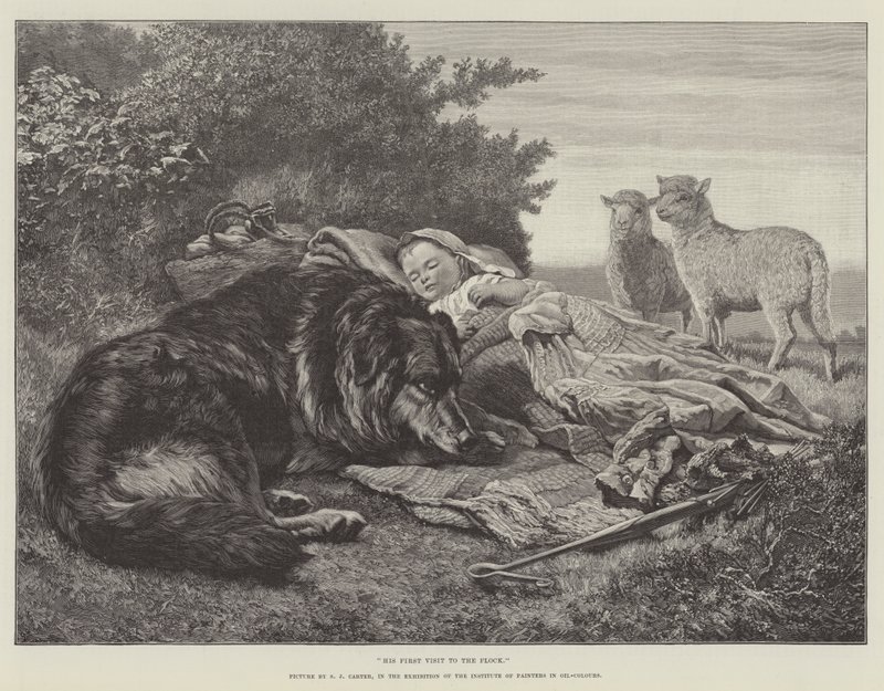 Hans første besøk til flokken, i utstillingen til Institute of Painters in Oil-Colours av Samuel John Carter