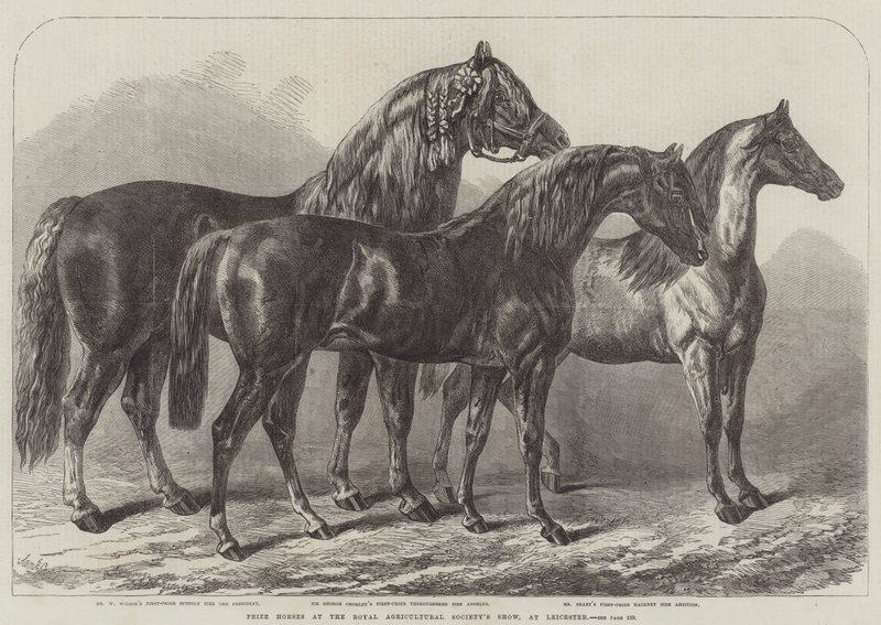 Premiehester på Royal Agricultural Society