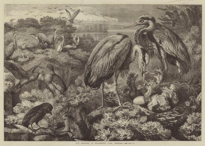 Heronry ved Didlington Park, Norfolk av Samuel John Carter