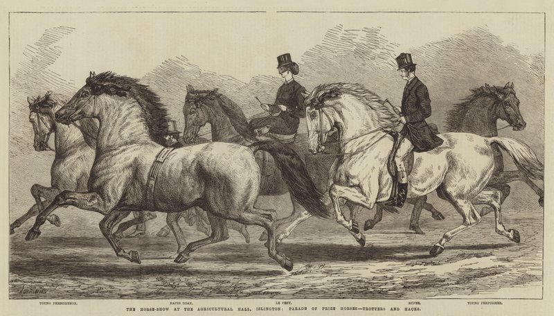 Horse-Show på Agricultural Hall, Islington, Parade of Prize Horses, Trotters and Hacks av Samuel John Carter