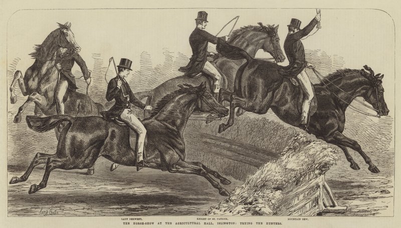 Horse-Show på Agricultural Hall, Islington, prøver jegerne av Samuel John Carter