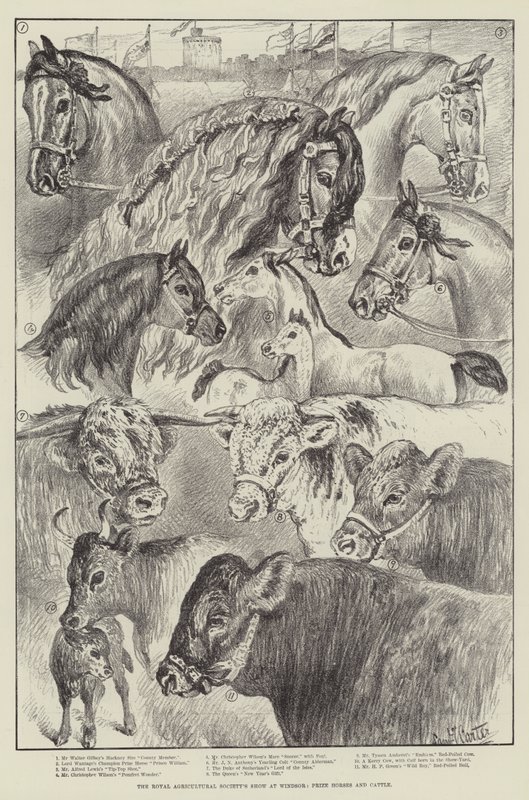 The Royal Agricultural Society