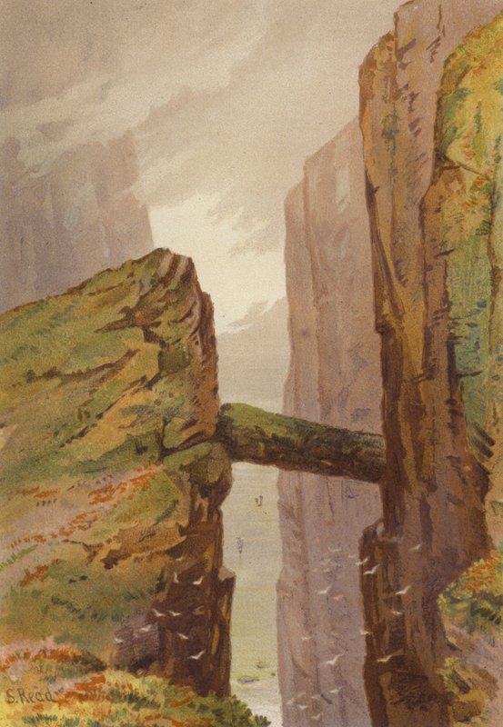 Nord for Irland, The Grey Man