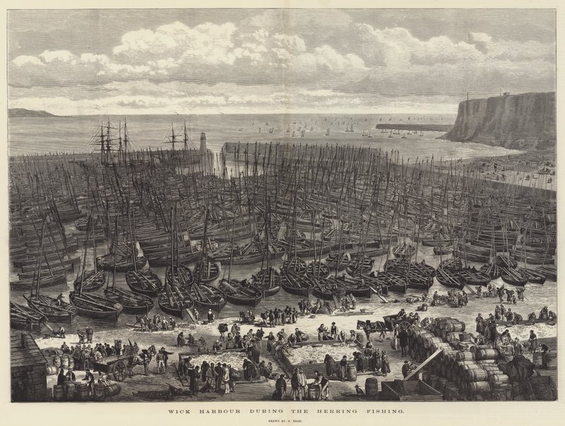 Wick Harbor under sildefisket av Samuel Read