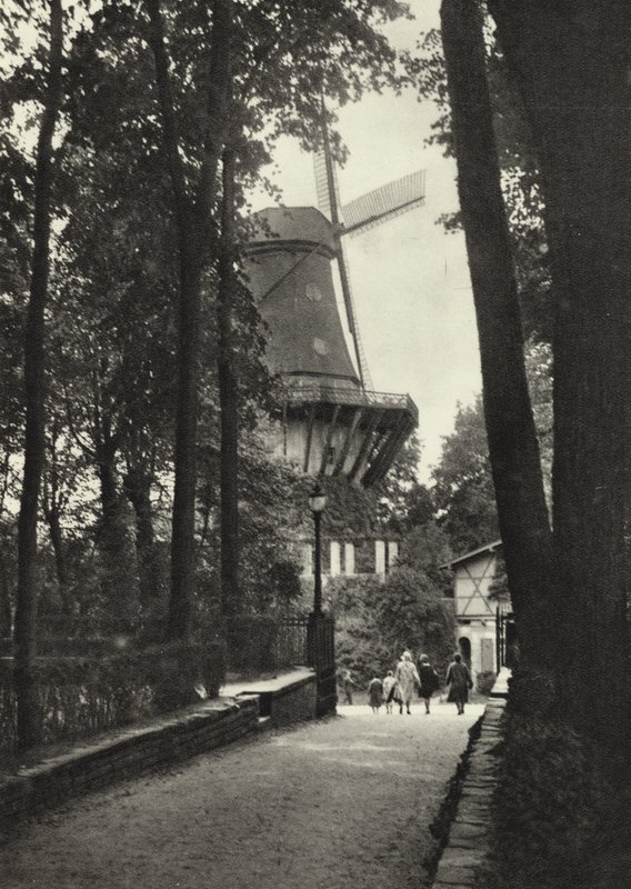Potsdam, historisk vindmølle i Sanssouci; Historisk vindmølle i Sanssouci (s/hvitt bilde) av Sasha Stone