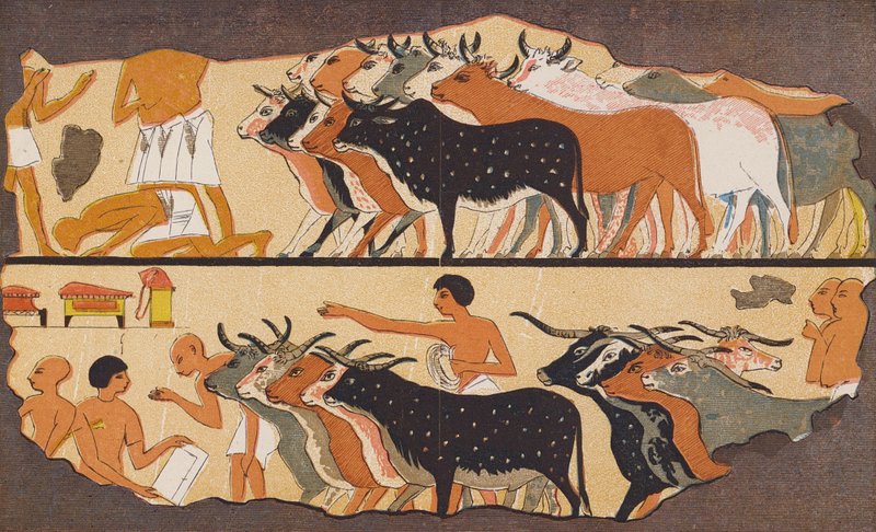  av School Egyptian