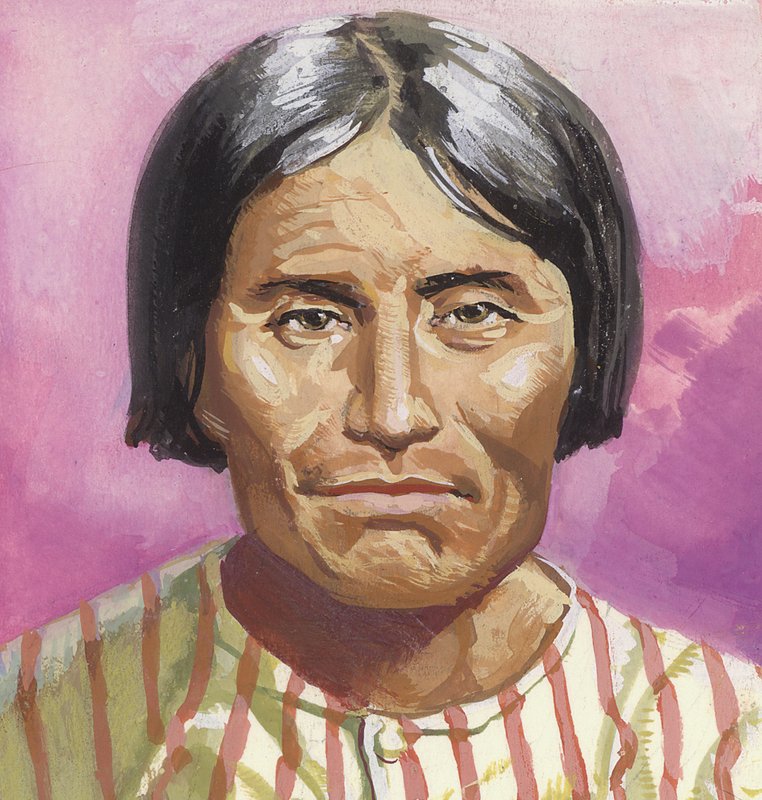  av Severino Baraldi