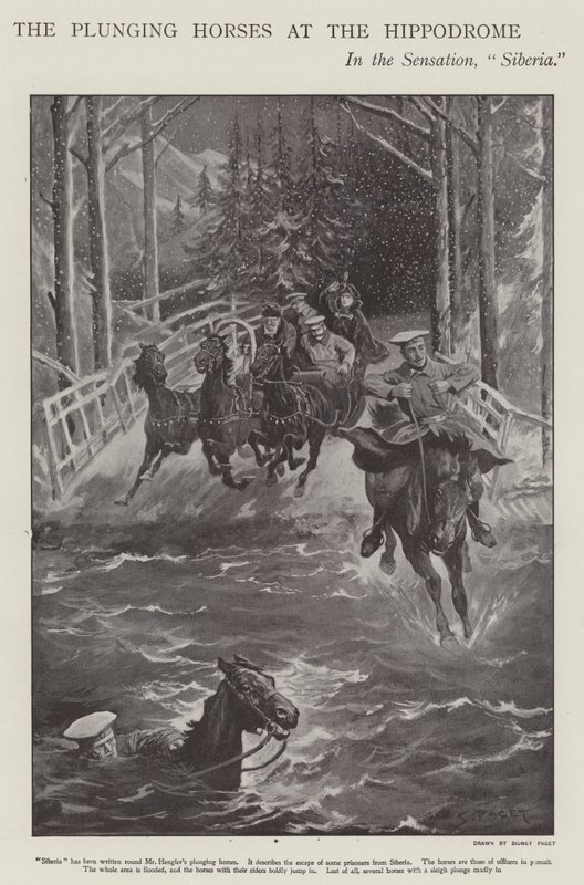Stupende hester i Sibir, en forestilling på London Hippodrome (litho) av Sidney Paget