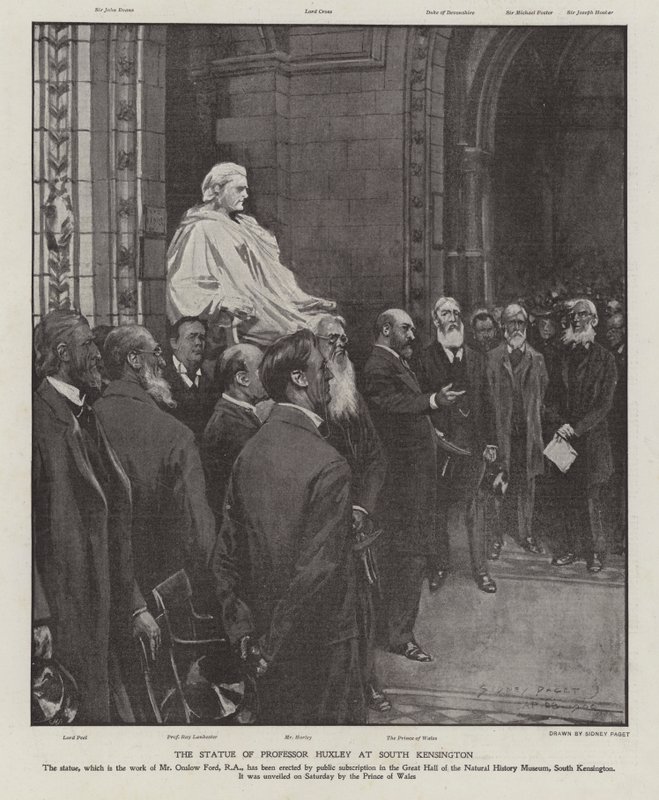Statuen av professor Thomas Henry Huxley i Great Hall of the Natural History Museum, South Kensington, London (litho) av Sidney Paget