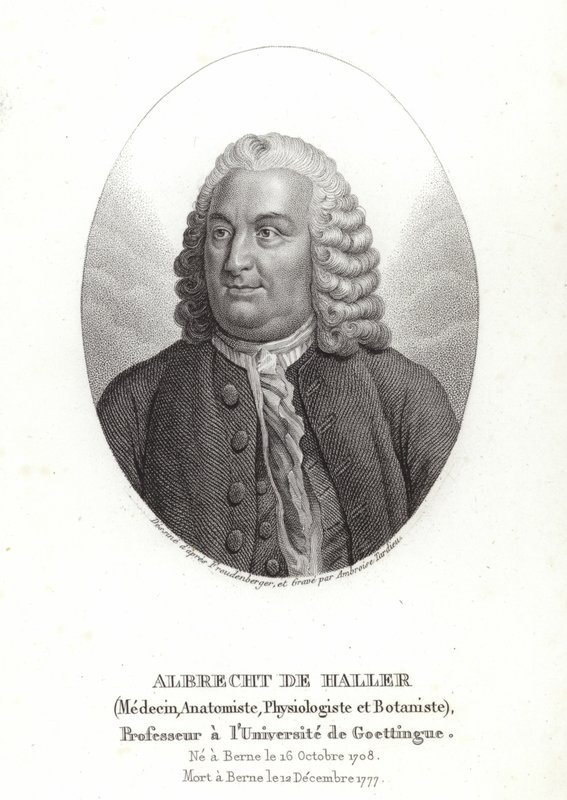 Albrecht von Haller av Sigmund Freudenberger