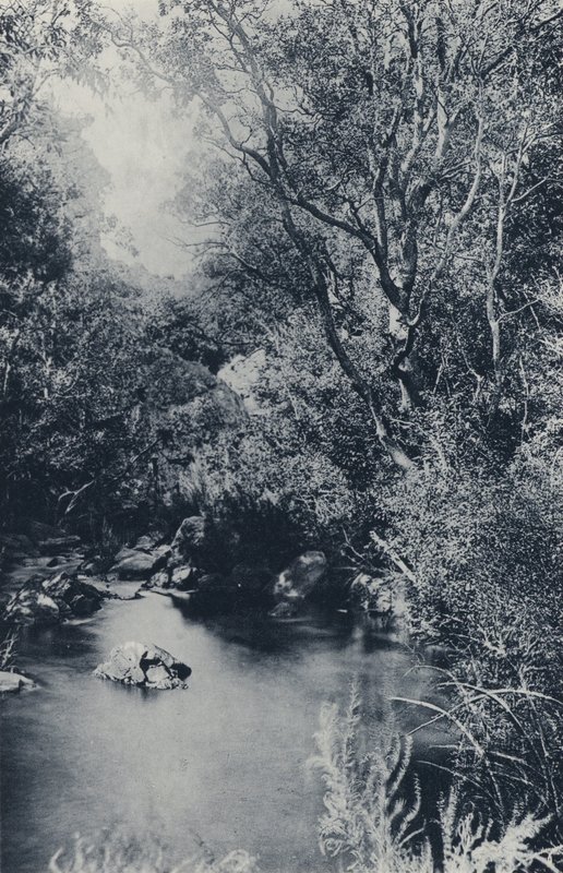 En eventyrscene, nær Witpoortje (s/hvitt-bilde) av South African Photographer