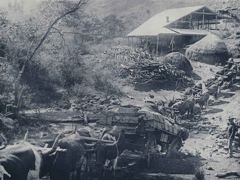 A Wagon Break-down, Scotsman Reef, Baberton (s/hvitt-bilde) av South African Photographer