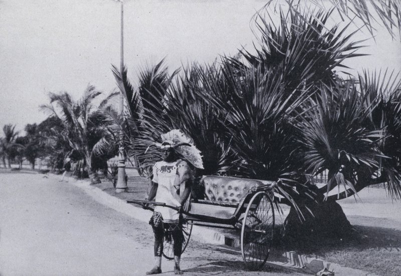 Kjører Rickshaws ved Bay Esplanade, Durban (O/O-bilde) av South African Photographer