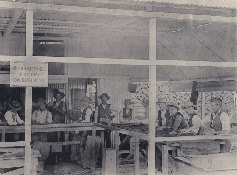 Diamantsortering, Wesselton Mine (s/hvitt-bilde) av South African Photographer