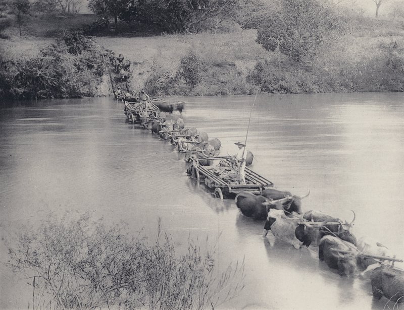 Hvordan elver krysses i Transvaal (s/hvitt-bilde) av South African Photographer