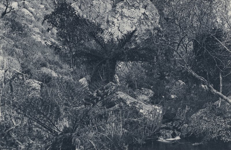 I Witpoortje Kloof (s/hvitt bilde) av South African Photographer