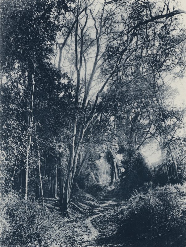 Scene i Lydenburg-distriktet (s/hvitt-bilde) av South African Photographer
