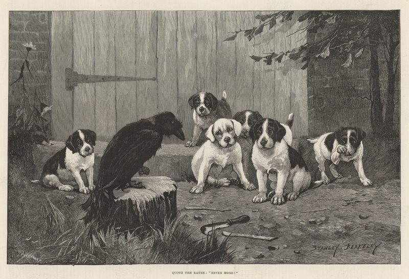 Quoth the Raven, aldri mer! av Stanley Berkeley