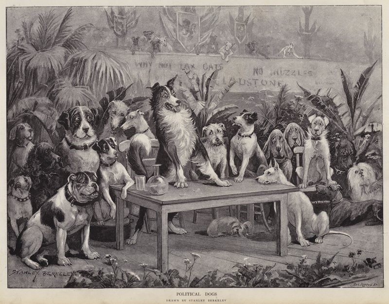 Politiske hunder (litho) av Stanley (after) Berkeley