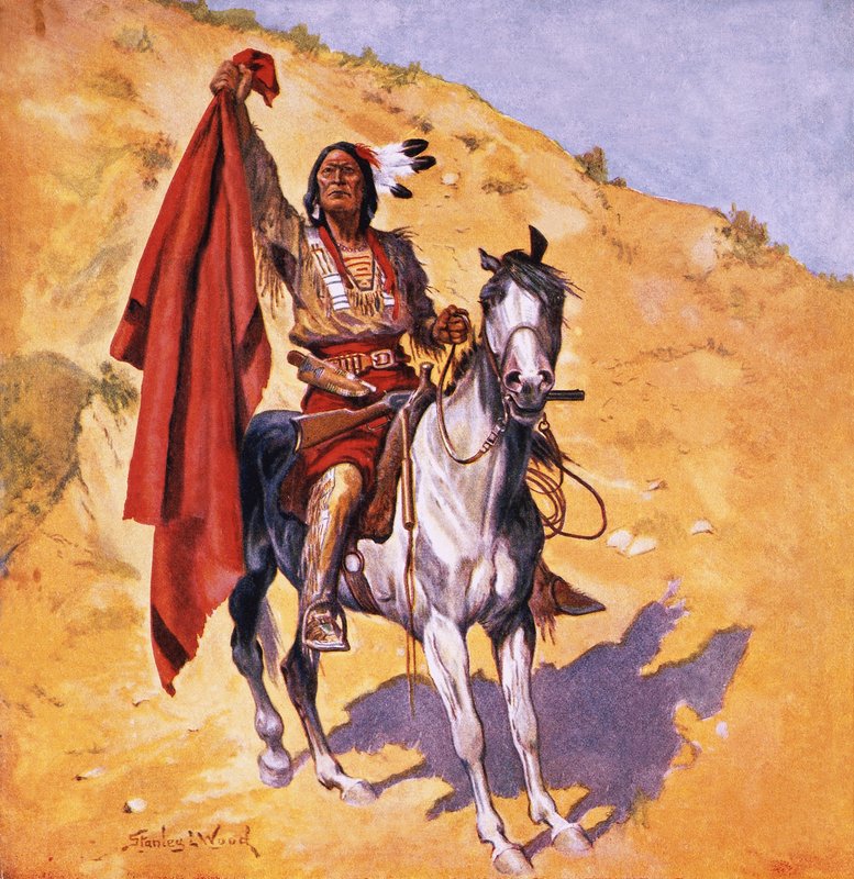 Indiske teppet av Stanley L. Wood