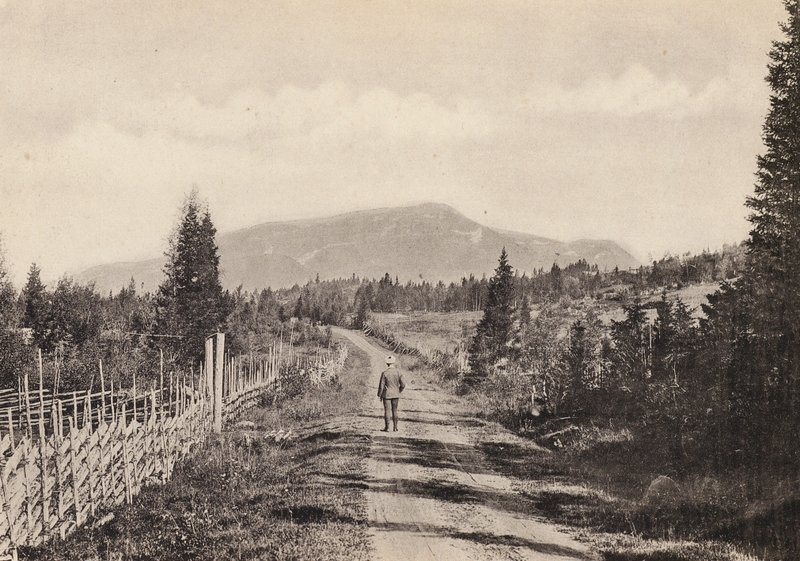 Sverige / Sverige: Jamtland, Areskutan Fran Undersaker (s/hv foto) av Swedish Photographer