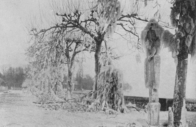 Ved Paquis i Genève, vinteren 1896 (s/hvitt-bilde) av Swiss Photographer