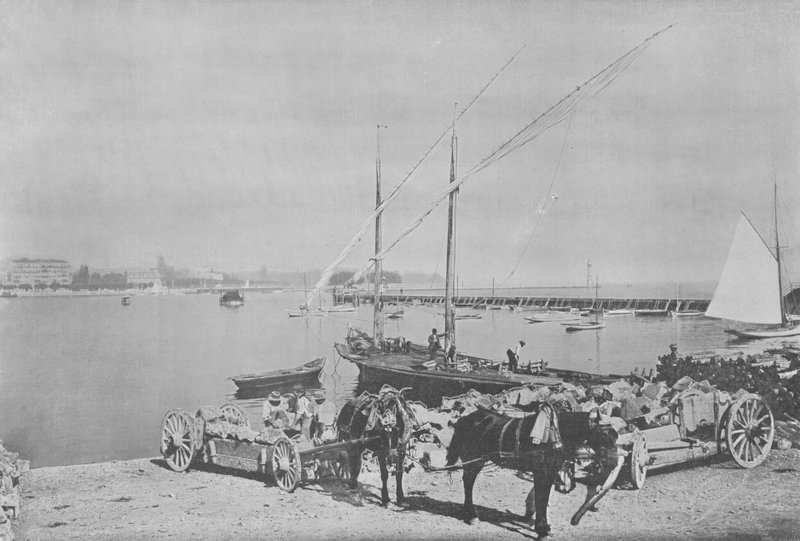 Geneve, Le Port (s/hvitt bilde) av Swiss Photographer