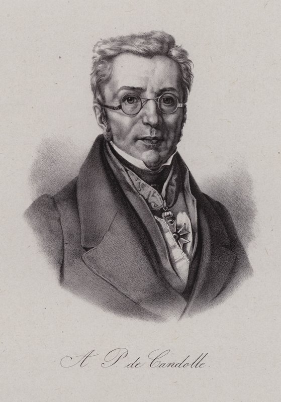 Augustin Pyramus fra Cuba , sveitsisk botaniker (gravering) av Swiss School