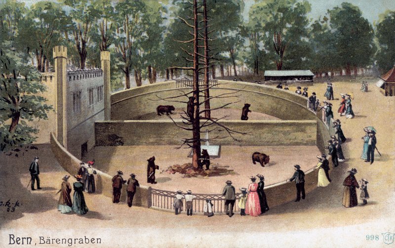 Bern, Bear Garden (farge litho) av Swiss School