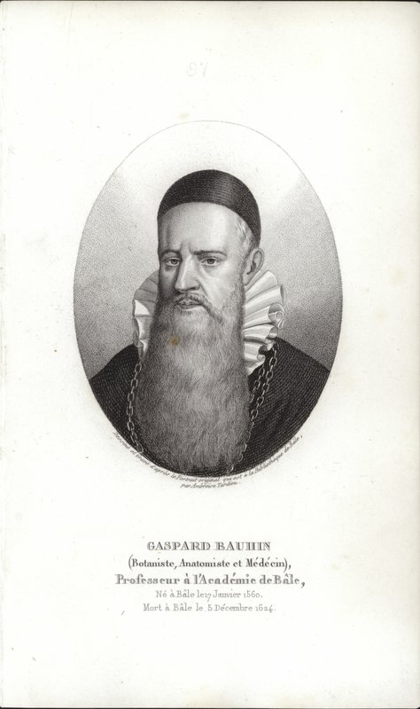 Gaspard Bauhin av Swiss School