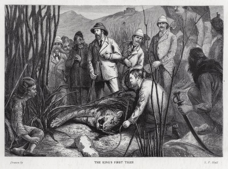 Kong Edward VII med tigeren han har drept (litho) av Sydney Prior (after) Hall