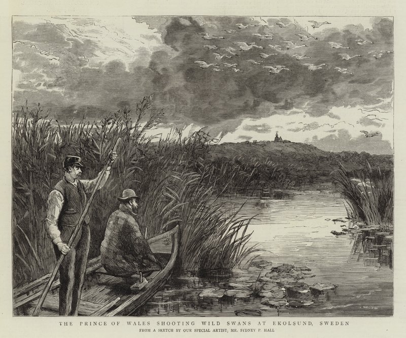 Prinsen av Wales skyter ville svaner ved Ekolsund, Sverige av Sydney Prior Hall