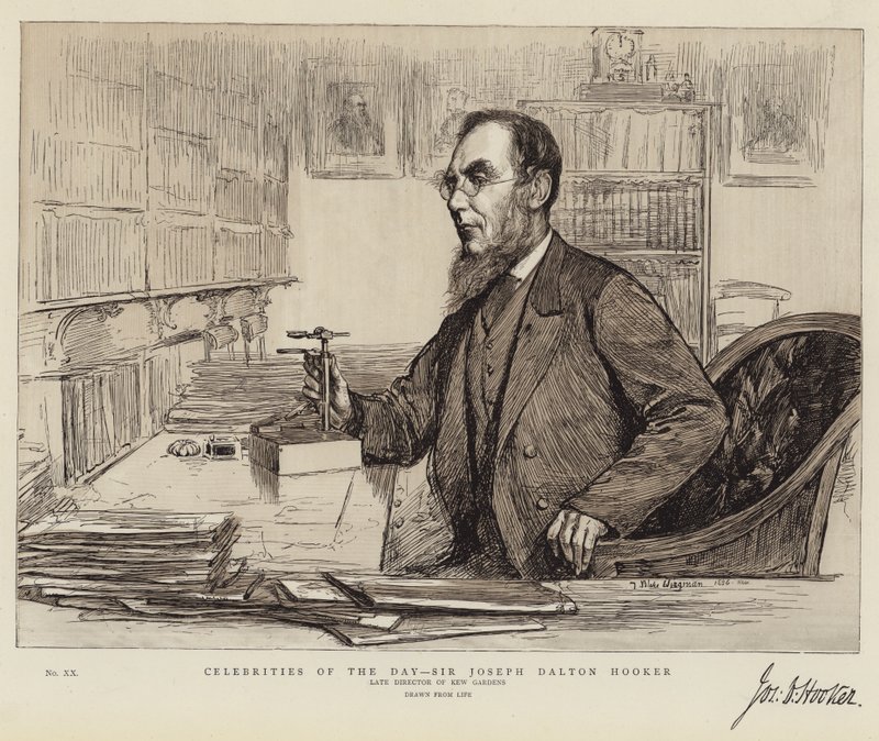 Dagens kjendiser, Sir Joseph Dalton Hooker av Theodore Blake Wirgman