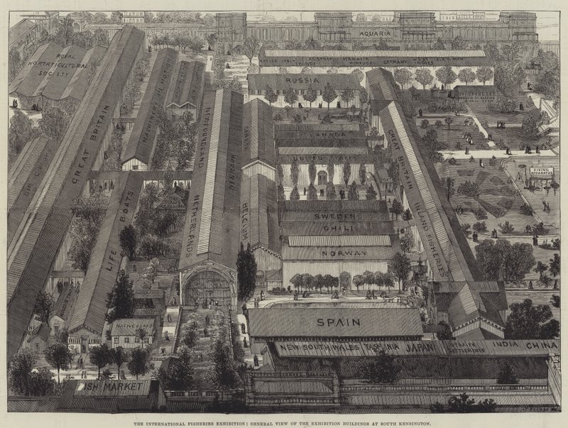 Den internasjonale fiskeriutstillingen, generell utsikt over utstillingsbygningene i South Kensington av Thomas Sulman