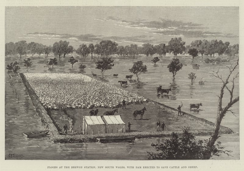 Oversvømmelser ved Brewon Station, New South Wales, med demning reist for å redde storfe og sauer av Thomas Harrington Wilson