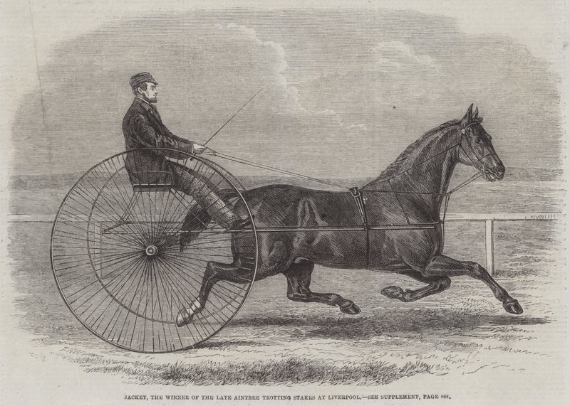 Jackey, vinneren av avdøde Aintree Trotting Stakes i Liverpool av Thomas Harrington Wilson
