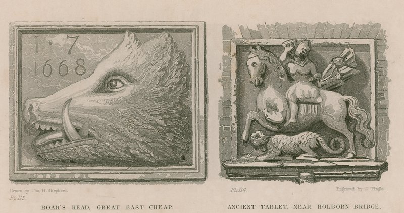 Villsvinehode og gammelt nettbrett av Thomas Hosmer Shepherd