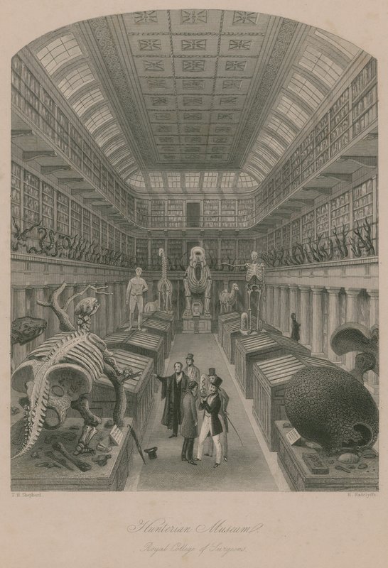 Hunterian Museum, Royal College of Surgeons, London av Thomas Hosmer Shepherd