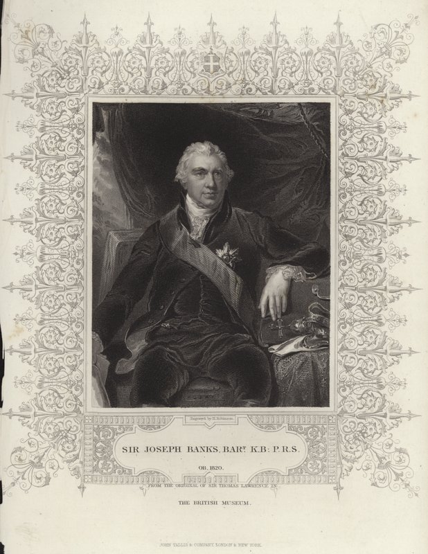 Sir Joseph Banks av Thomas Lawrence
