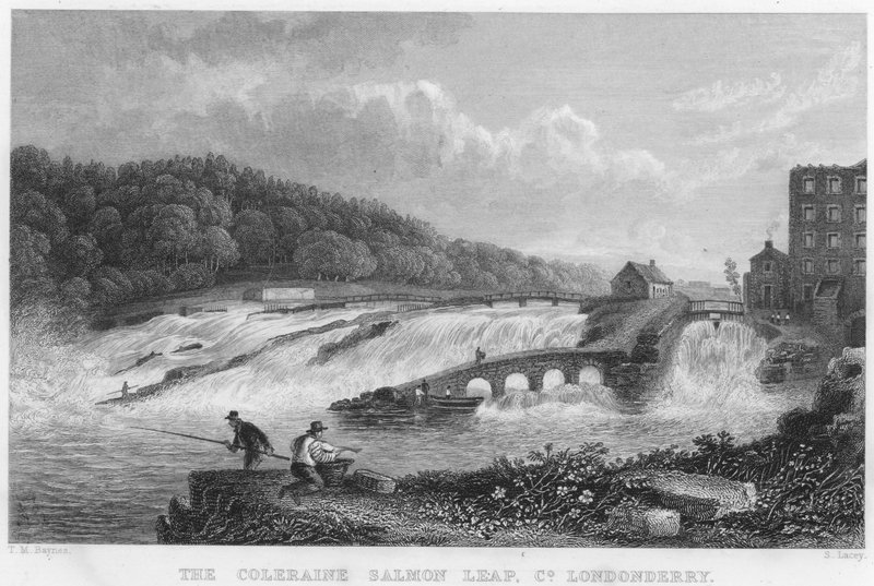 The Coleraine Salmon Leap, County Londonderry (gravering) av Thomas Mann (after) Baynes